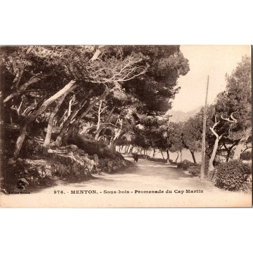 Vintage Menton Sous-bois Promenade du Cap Martin‎ French Postcard